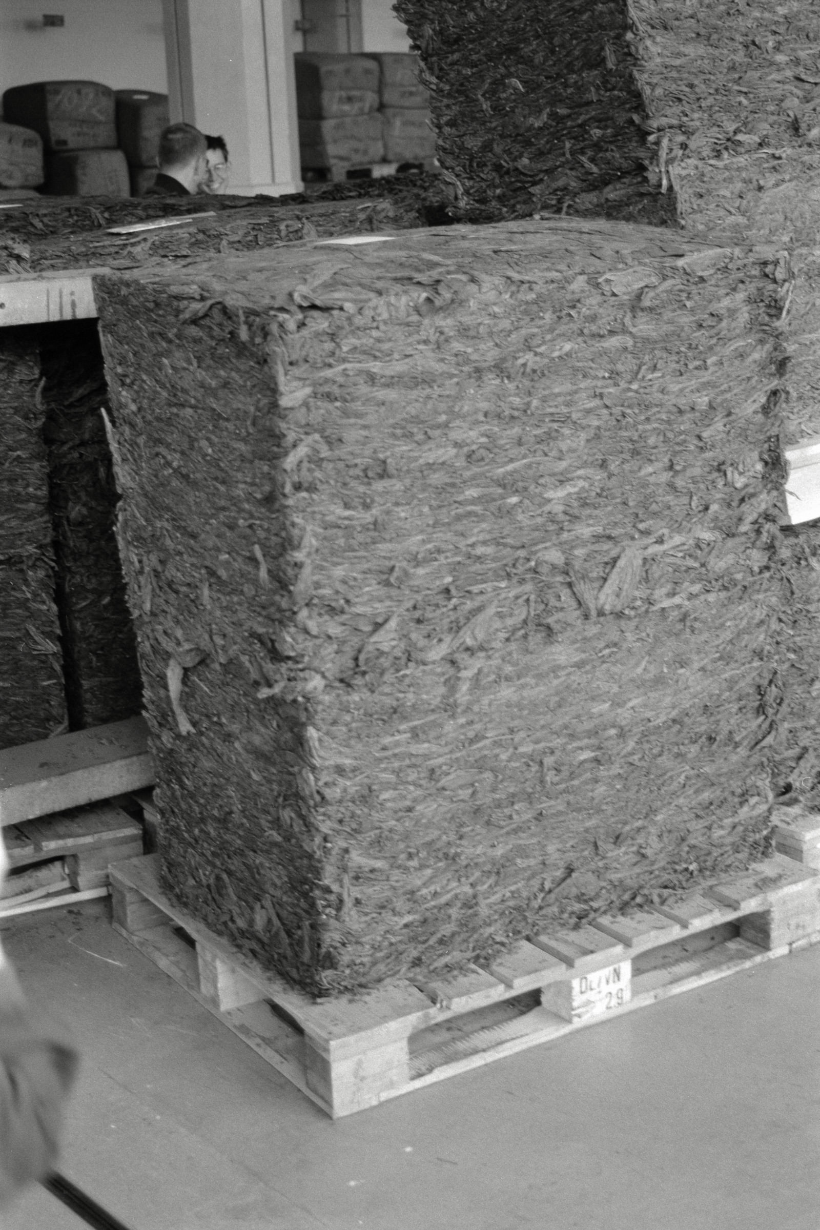 AHP F1992 06 003 sc250507 img08 NLP